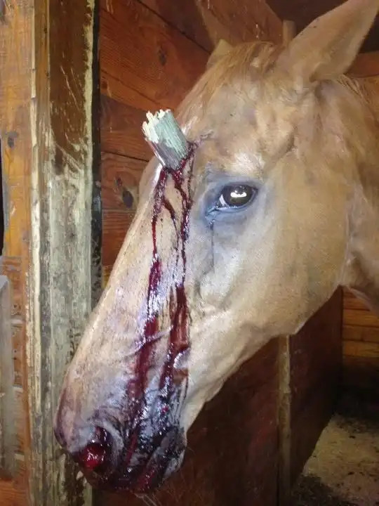 Лошадка - единорог