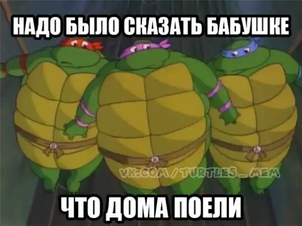 Смешные фото с подписями и другие приколы