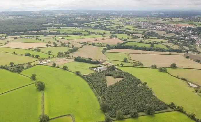 В память о любимой жене