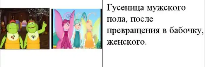 Закономерности в мультфильмах