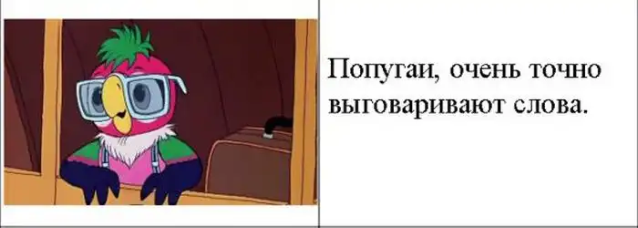 Закономерности в мультфильмах