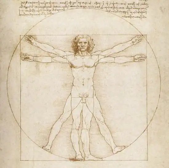 Бесполезные органы человеческого тела