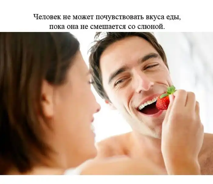 Факты о человеке