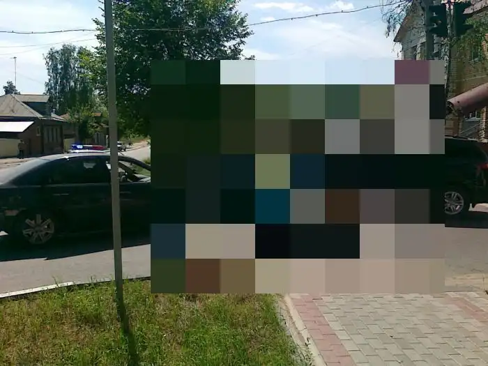 Необычный пешеход пострадал на переходе