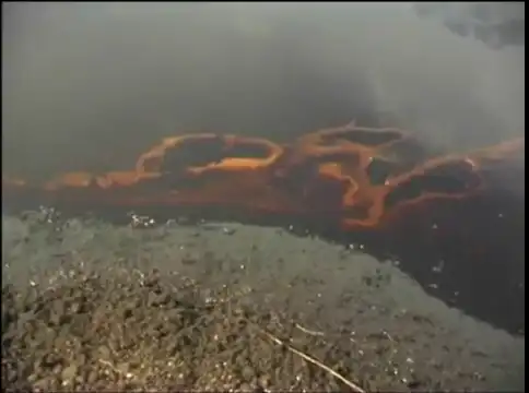 Чудовищное шламовое озеро