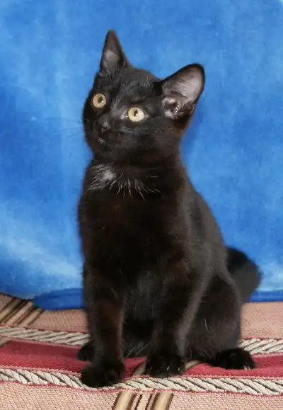 Малыш ищет любящую семью!