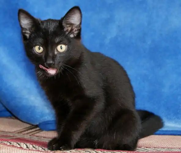 Малыш ищет любящую семью!