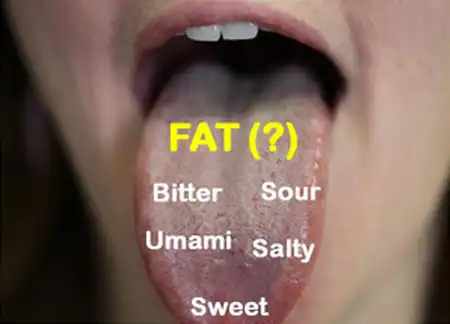 Найден ген вкусового рецептора жира