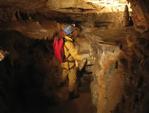 В Абхазии обнаружено самое глубоко живущее сухопутное существо