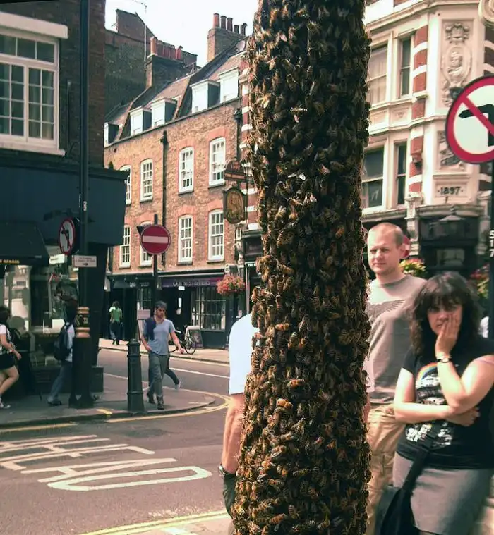 Тем временем в Лондоне