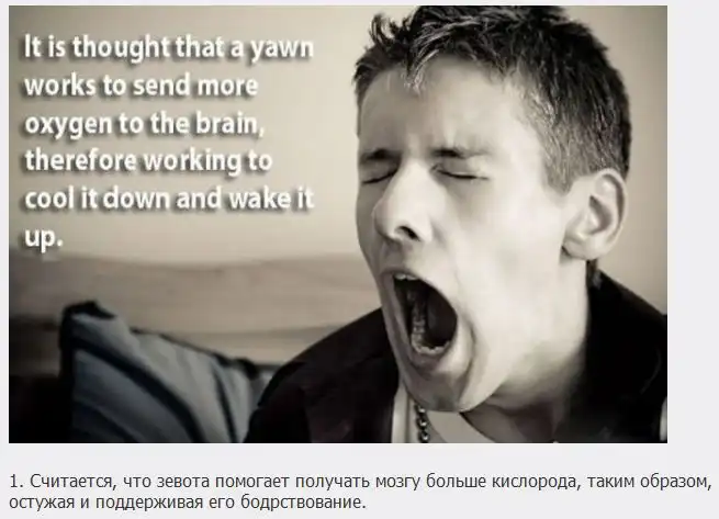 Познавательные факты о мозге