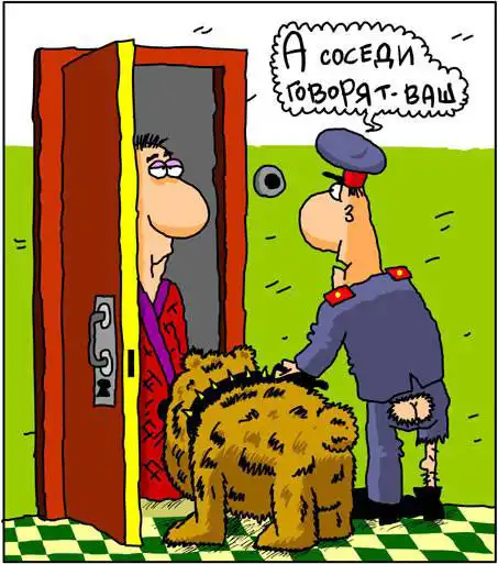 Стаффордшир напал и покусал 3 человек на Урале