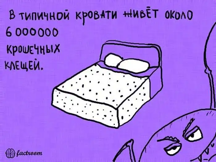 Факты, изображенные в картинках