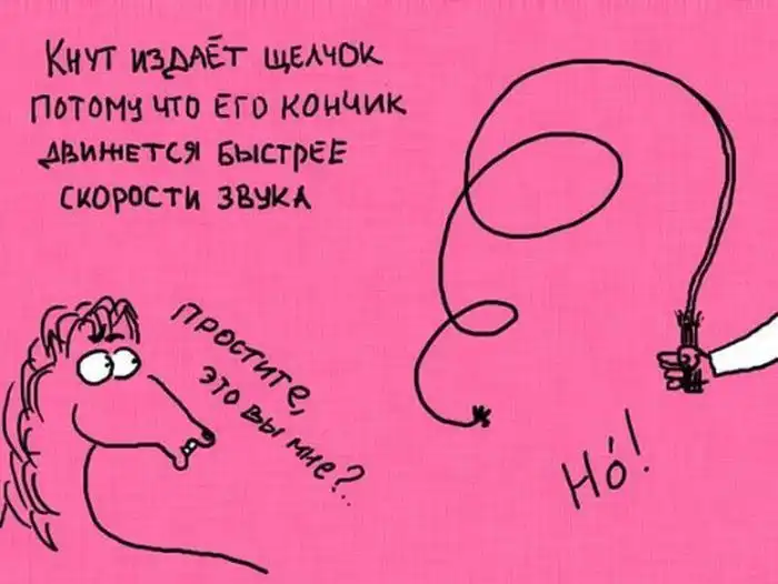 Факты, изображенные в картинках