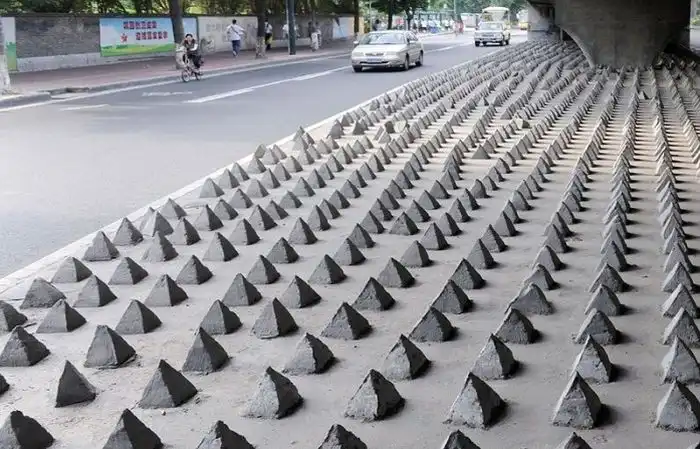 Загадка дня