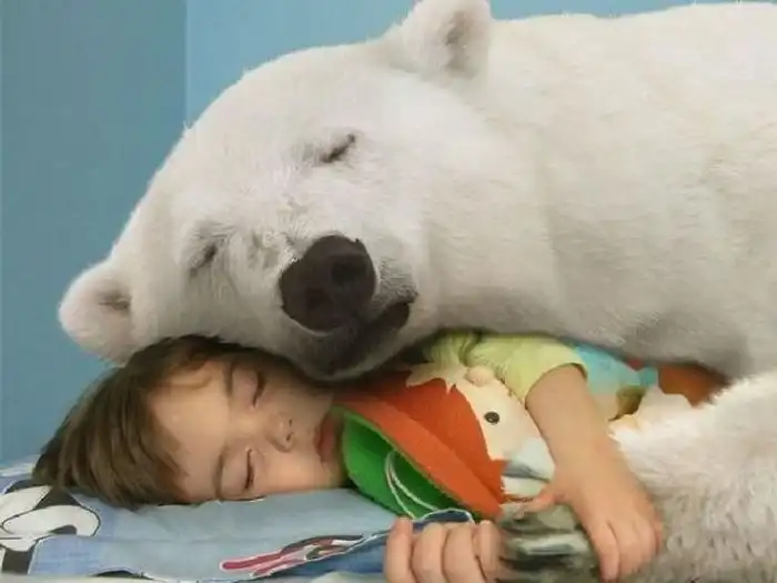 Фотографии, на которые невозможно смотреть равнодушно. Часть 3