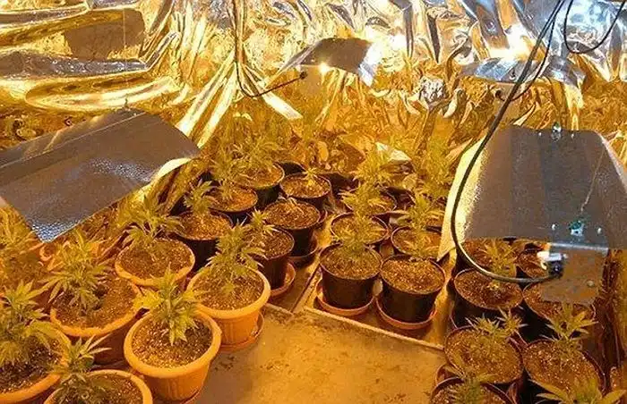 Неприметный домик с секретом в подвале