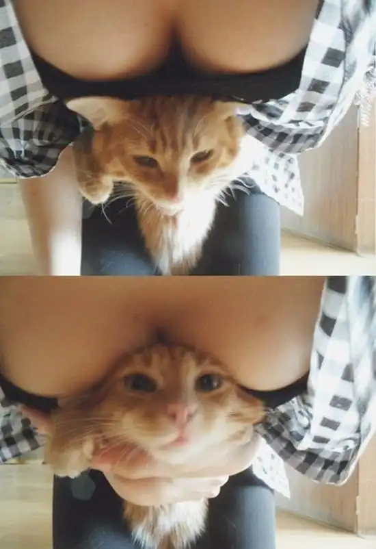 Прикольные картинки абавсём (16.08.12)