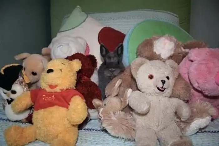 Настоящие мастера камуфляжа