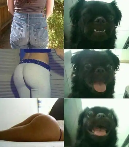 Прикольные картинки абавсём (20.08.12)