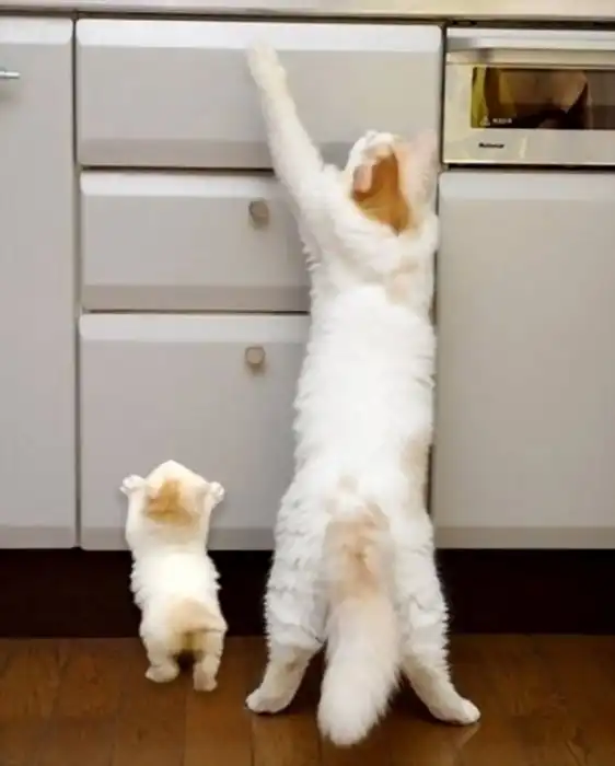 Миниатюрные копии животных