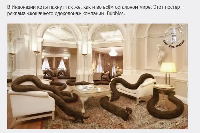 Реклама в исламских странах