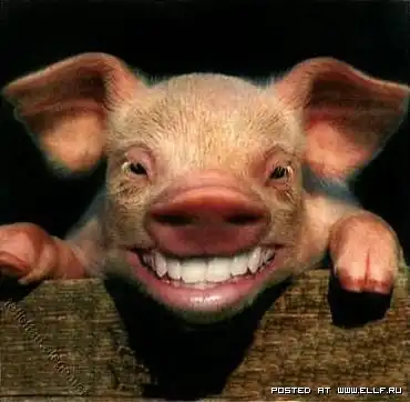 Смеющиеся животные (33 фото)