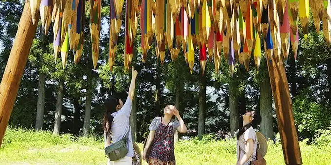 Инсталляция из гигантских карандашей