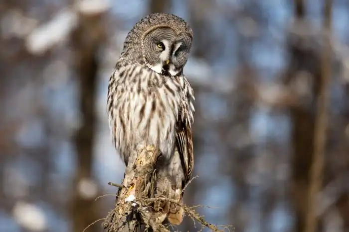 Леденящая душу красота Чукотки