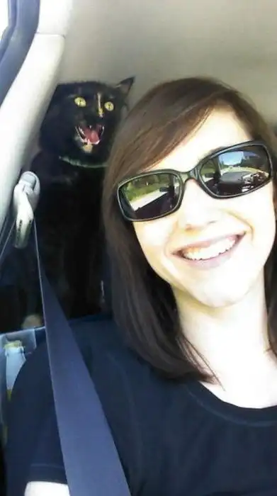 Фотобомбы с животными. Часть 21