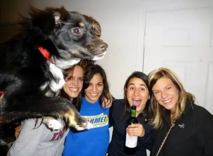 Фотобомбы с животными. Часть 21