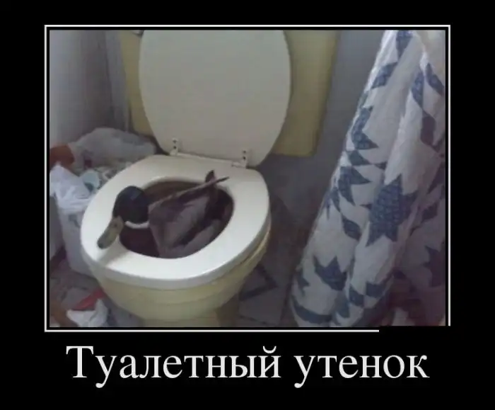 Картинки в черной рамке