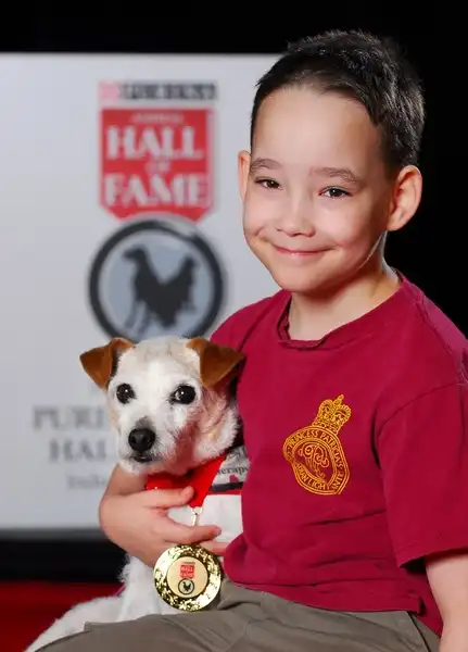 Любое желание для умирающего пса!