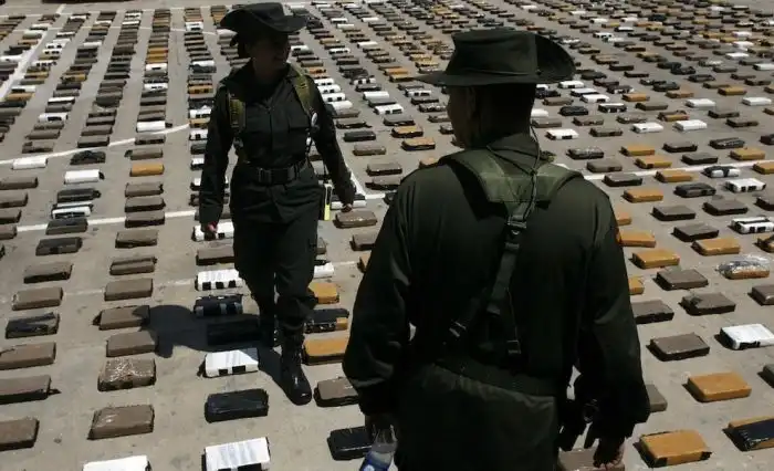 Партия кокаина стоимостью 3 млн долларов