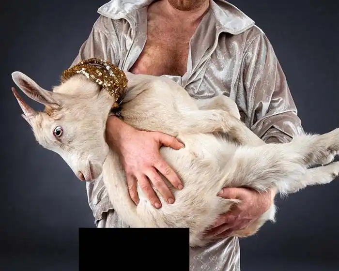 Про животных и людей