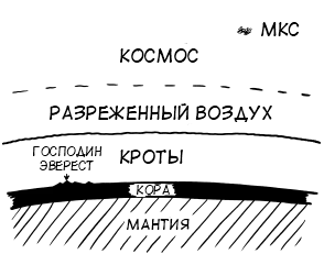 Моль кротов