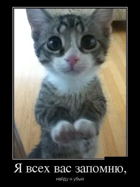 Картинки в черной рамке