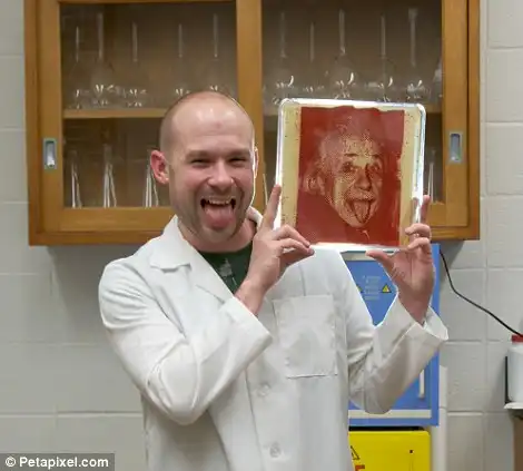 Микробиолог рисует портреты с помощью бактерий