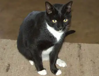 Про нелегкий труд дизайнера