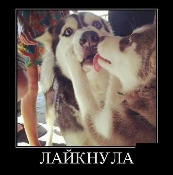 Картинки в черной рамке