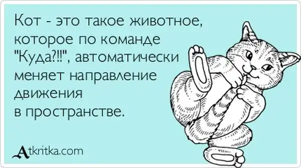 Прикольные "аткрытки". Часть 18