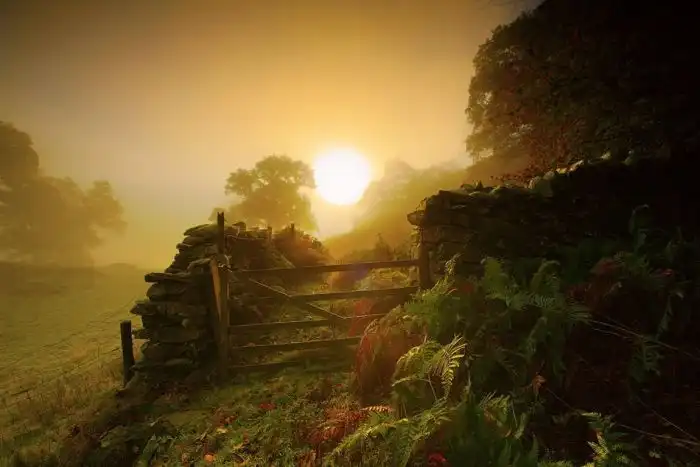 Родина знаменитого чеширского кота