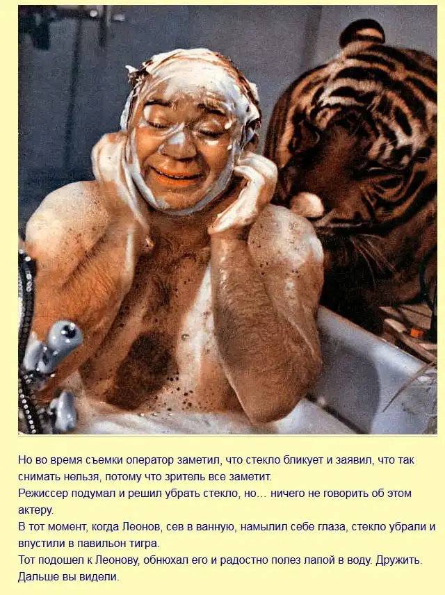 Интересные факты о фильме "Полосатый рейс"