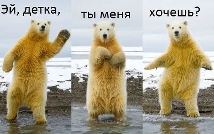 Прикольные картинки абавсём (05.09.12)