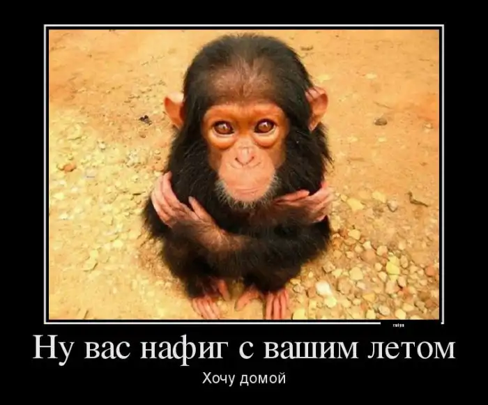 "Демотиваторы" про животных