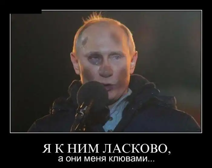 Картинки в черной рамке