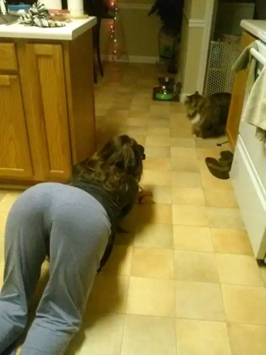 Прикольные картинки абавсём:D (10.01.13)