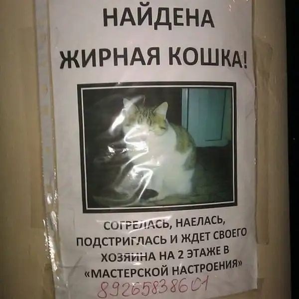 Снимки с просторов нашей необъятной