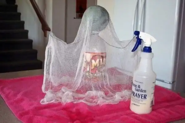 Милое домашнее привидение