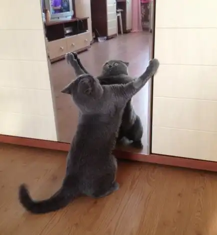 Разнообразная подборка =) Для настроения!